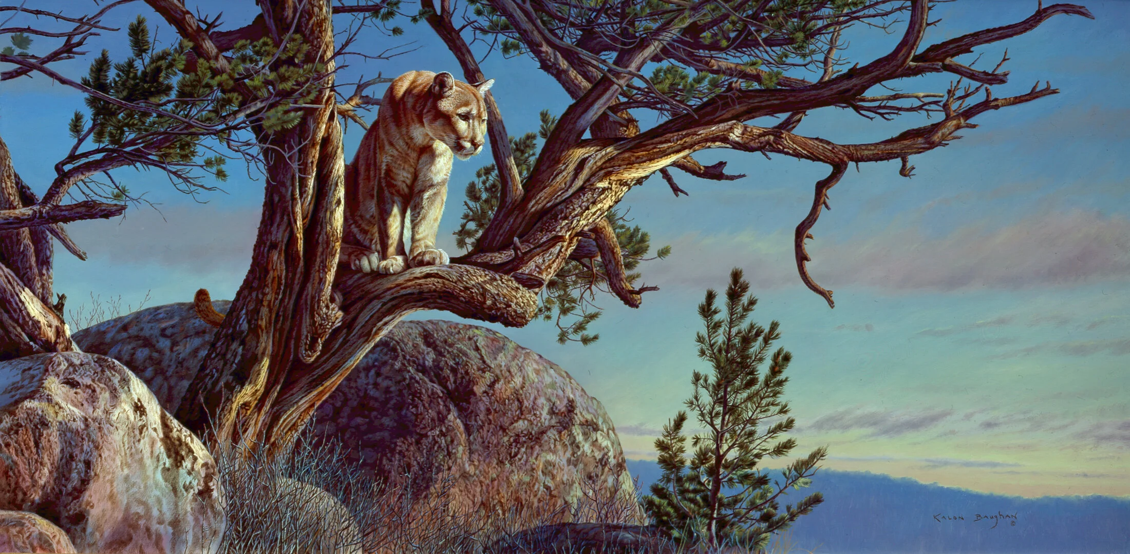 Commissions — Kalon Baughan